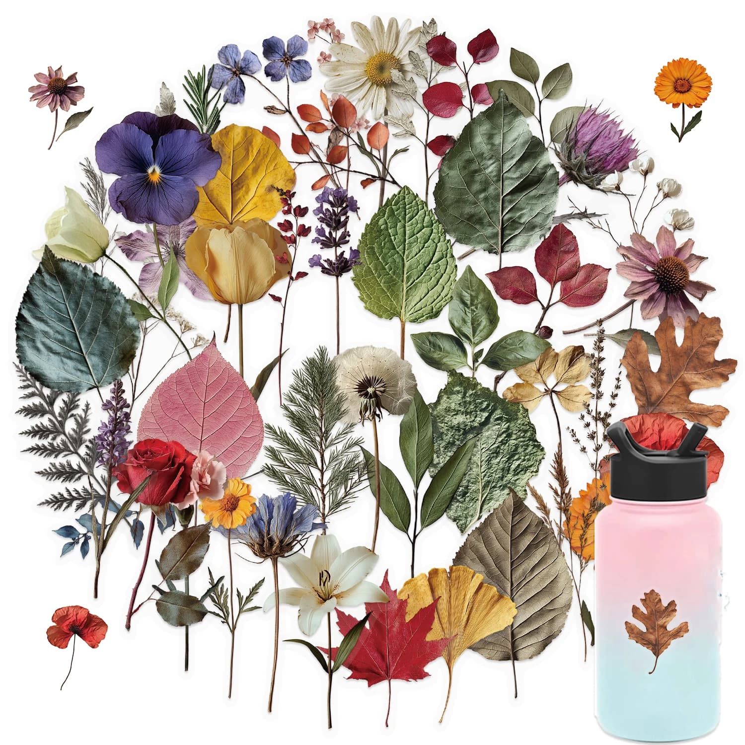 50Pcs Cute Plant Transparent Stickers Plant Specimen Decals Phone Case Notebook Skateboard Motorcycle Sticker Toy
