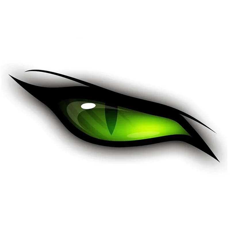 Wall decals for cars All kinds of decals in coloured vinyl green eyes Decorative decalcomanie for rear bumper for motorcycle cars, 13 cm * 6 cm