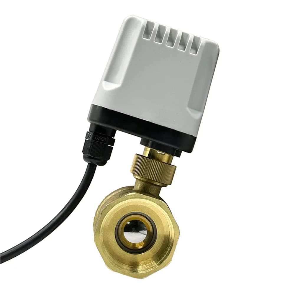 Elettrovalvola impermeabile IP65 da 1/2 "a 2" normalmente chiusa 220V 12V 24V Valvola a sfera elettrica motorizzata in ottone a 2 fili per acqua olio