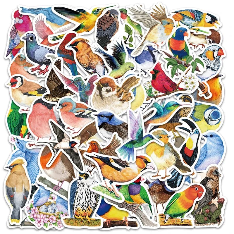 50 Pezzi Adesivi Graffiti Acquerello Uccelli Fai da Te Decorativi per Buste, Custodie per Telefoni, Quaderni, Skateboard, Giocattoli e Regali per Bambini