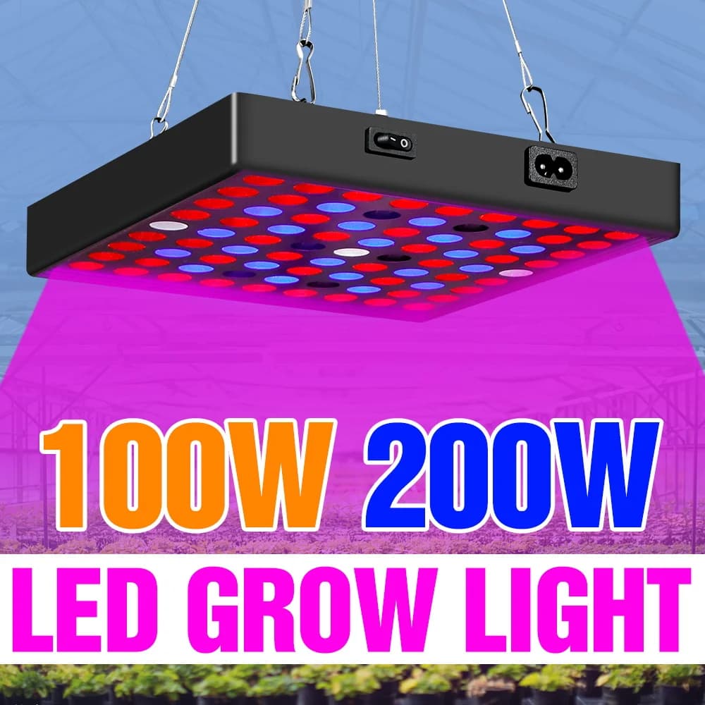 Lampada LED per Coltivazione 200W, Luce a Spettro Completo per Piante, Illuminazione per Serre, Coltivazione Idroponica, Piante Succulente, Fiori, Frutta e Verdura