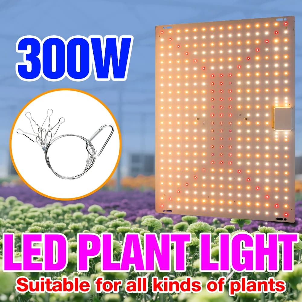 300W Complete LED Display Lamp for Indoor Cultivation, Quantum Panel for Semi, Hydroponic Lighting for Plants, Vegetables and Flowers