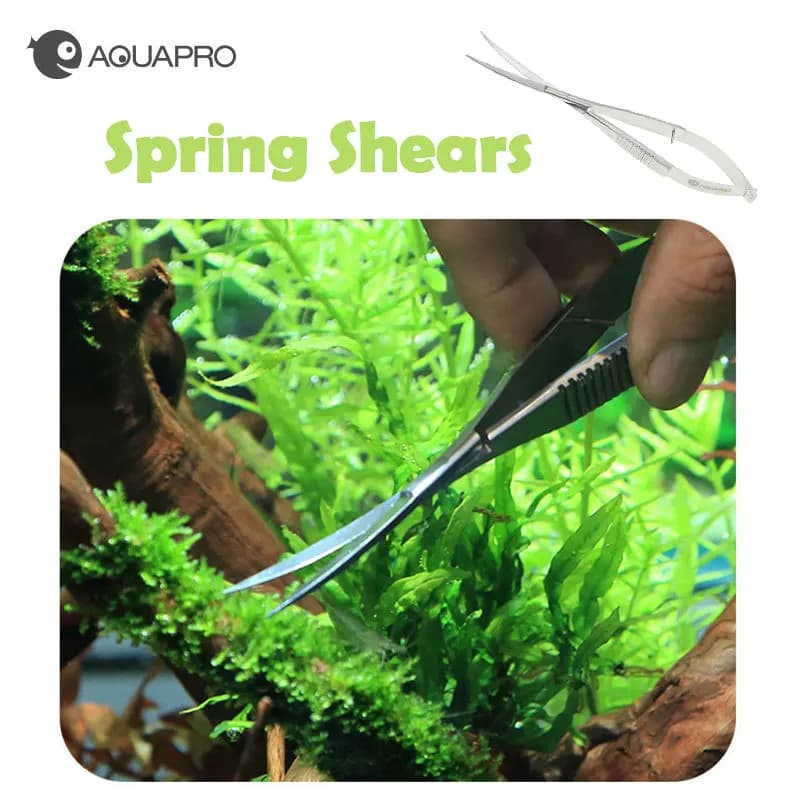 Forbici a molla dritte curve in acciaio inossidabile forbici per acquario Aquascaping Plant CleaningTools Fish Tank accessori paesaggistici
