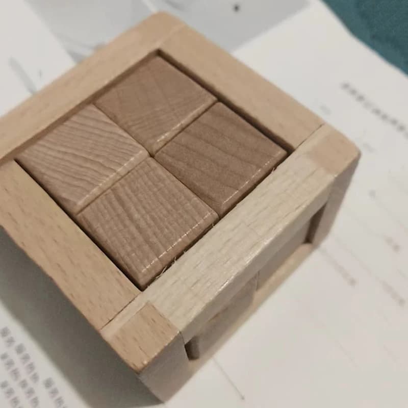 Giocattoli educativi per lo smarrimento Cubo puzzle ad incastro Rompicapo in legno per adulti Bambini Giochi di test IQ Regali creativi
